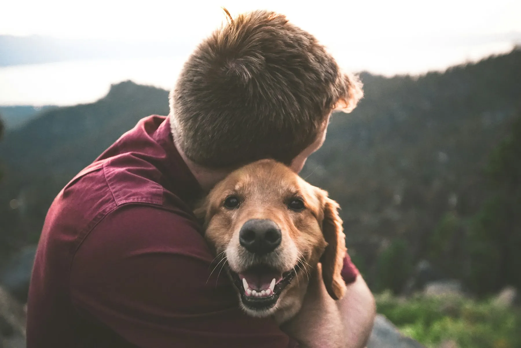Un hombre abraza con fuerza a su perro tras reencontrarse con él